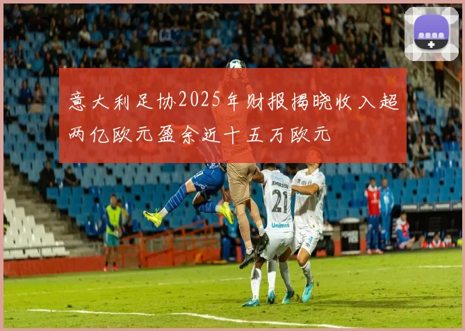 意大利足协2025年财报揭晓收入超两亿欧元盈余近十五万欧元